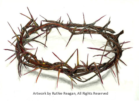 10253971_10201723245867847_4364109213246418510_n