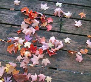 fall-leaves-on-deck